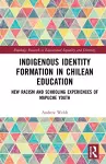 Indigenous Identity Formation in Chilean Education cover