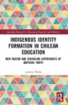 Indigenous Identity Formation in Chilean Education cover