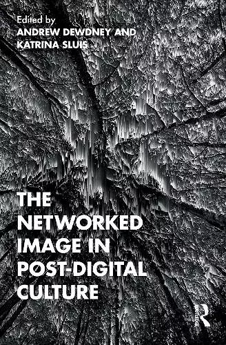 The Networked Image in Post-Digital Culture cover