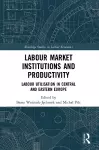 Labour Market Institutions and Productivity cover