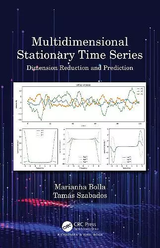 Multidimensional Stationary Time Series cover