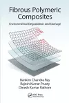 Fibrous Polymeric Composites cover