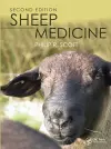 Sheep Medicine cover