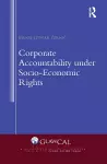 Corporate Accountability under Socio-Economic Rights cover