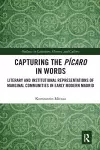 Capturing the Pícaro in Words cover