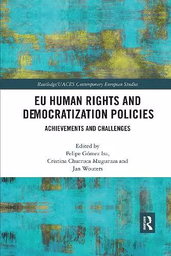 EU Human Rights and Democratization Policies cover