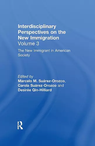 The New Immigrant in American Society cover