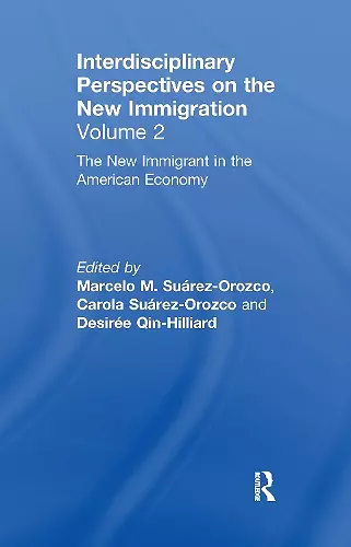 The New Immigrant in the American Economy cover