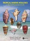 Tropical Marine Mollusks cover