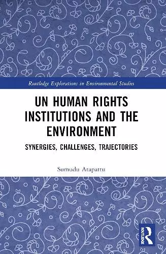 UN Human Rights Institutions and the Environment cover