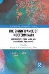 The Significance of Indeterminacy cover