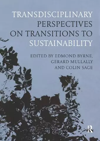 Transdisciplinary Perspectives on Transitions to Sustainability cover