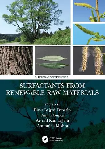 Surfactants from Renewable Raw Materials cover