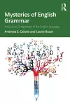 Mysteries of English Grammar cover