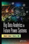 Big Data Analytics in Future Power Systems cover