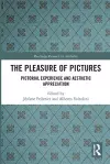 The Pleasure of Pictures cover