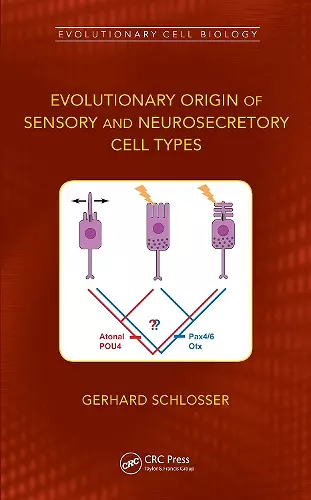 Evolutionary Origin of Sensory and Neurosecretory Cell Types cover