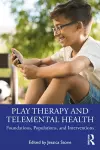 Play Therapy and Telemental Health cover