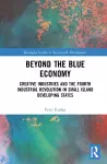 Beyond the Blue Economy cover