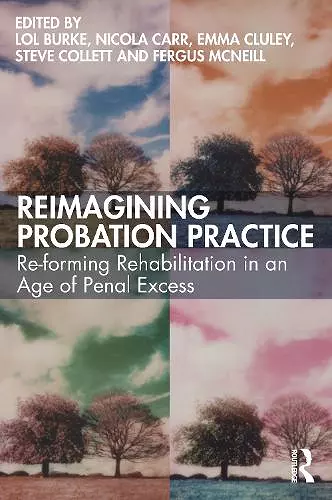 Reimagining Probation Practice cover