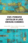State-permeated Capitalism in Large Emerging Economies cover