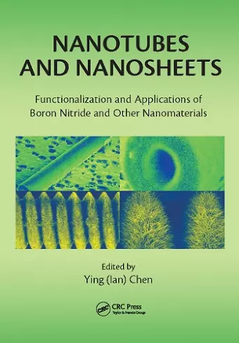 Nanotubes and Nanosheets cover