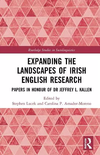 Expanding the Landscapes of Irish English Research cover