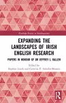 Expanding the Landscapes of Irish English Research cover