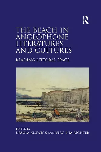 The Beach in Anglophone Literatures and Cultures cover