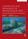 Preserving Archaeological Remains in Situ cover