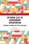 Optimum Size of Government Intervention cover