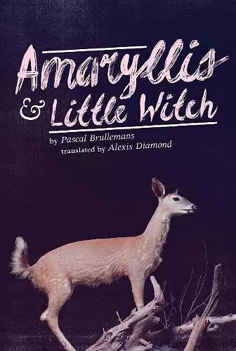 Amaryllis & Little Witch cover