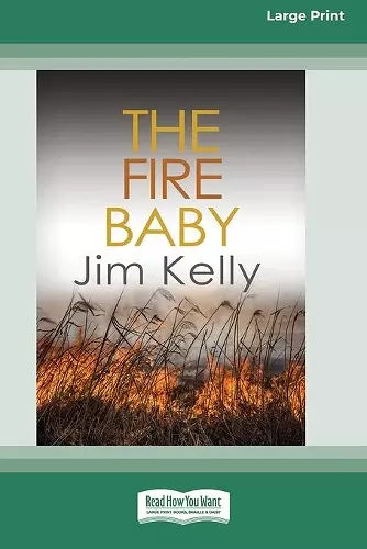 The Fire Baby (16pt Large Print Edition) cover