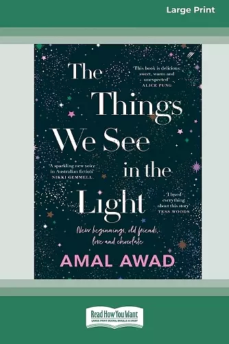 The Things We See in the Light [16pt Large Print Edition] cover