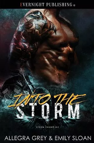 Into the Storm cover