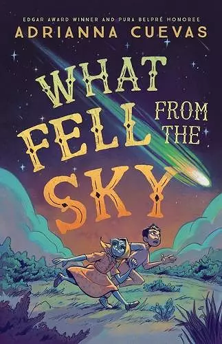 What Fell from the Sky cover