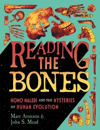Reading the Bones cover