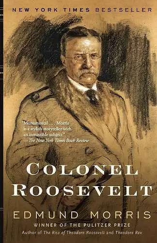 Colonel Roosevelt cover