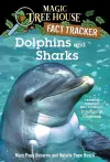 Dolphins and Sharks cover