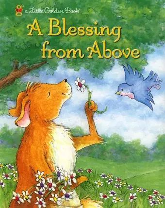 A Blessing from Above cover