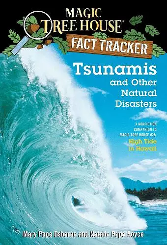 Tsunamis and Other Natural Disasters cover