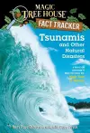 Tsunamis and Other Natural Disasters cover