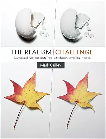 Realism Challenge, The cover