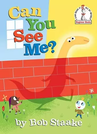 Can You See Me? cover