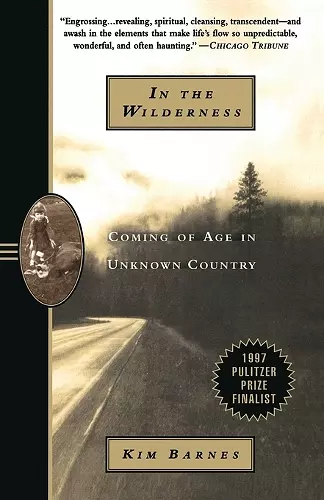 In the Wilderness cover