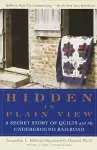 Hidden in Plain View cover