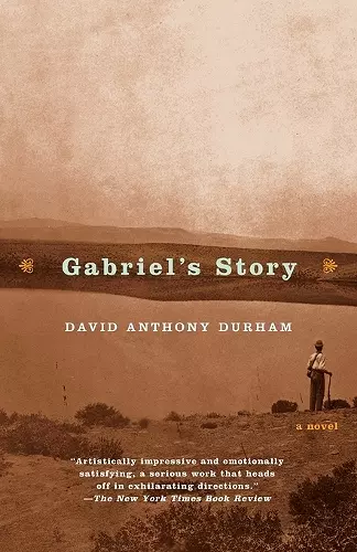 Gabriel's Story cover