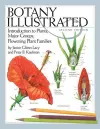 Botany Illustrated cover