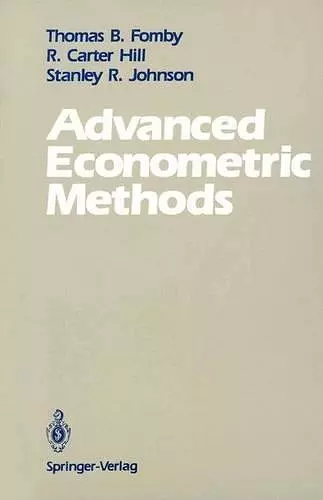 Advanced Econometric Methods cover