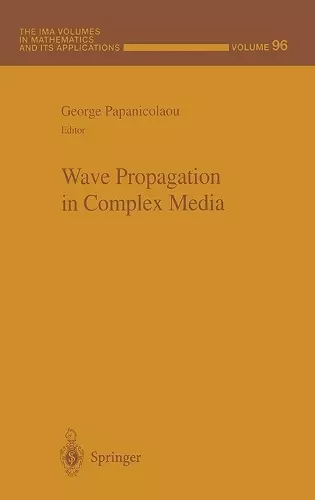 Wave Propagation in Complex Media cover